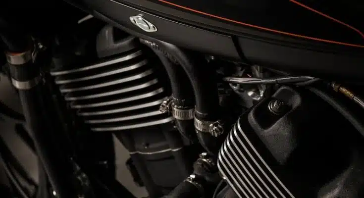 black and gray Harley Davidson cruiser motorcycle