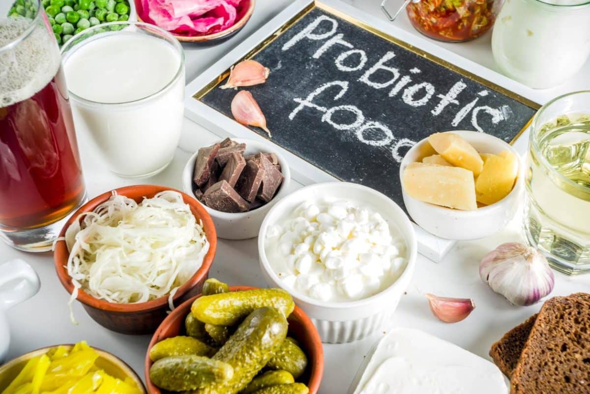 L'importance des probiotiques pour être en bonne santé