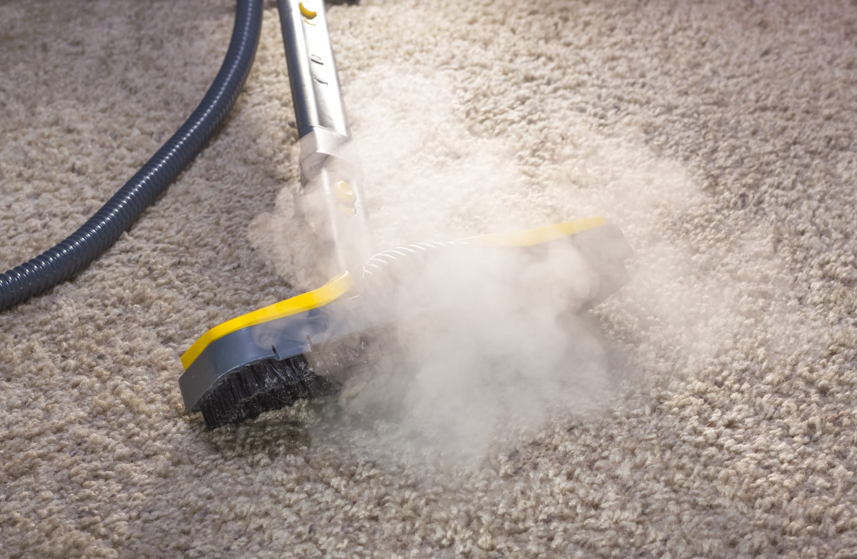 Comment nettoyer un tapis avec du bicarbonate ? - La Télé de Gauche